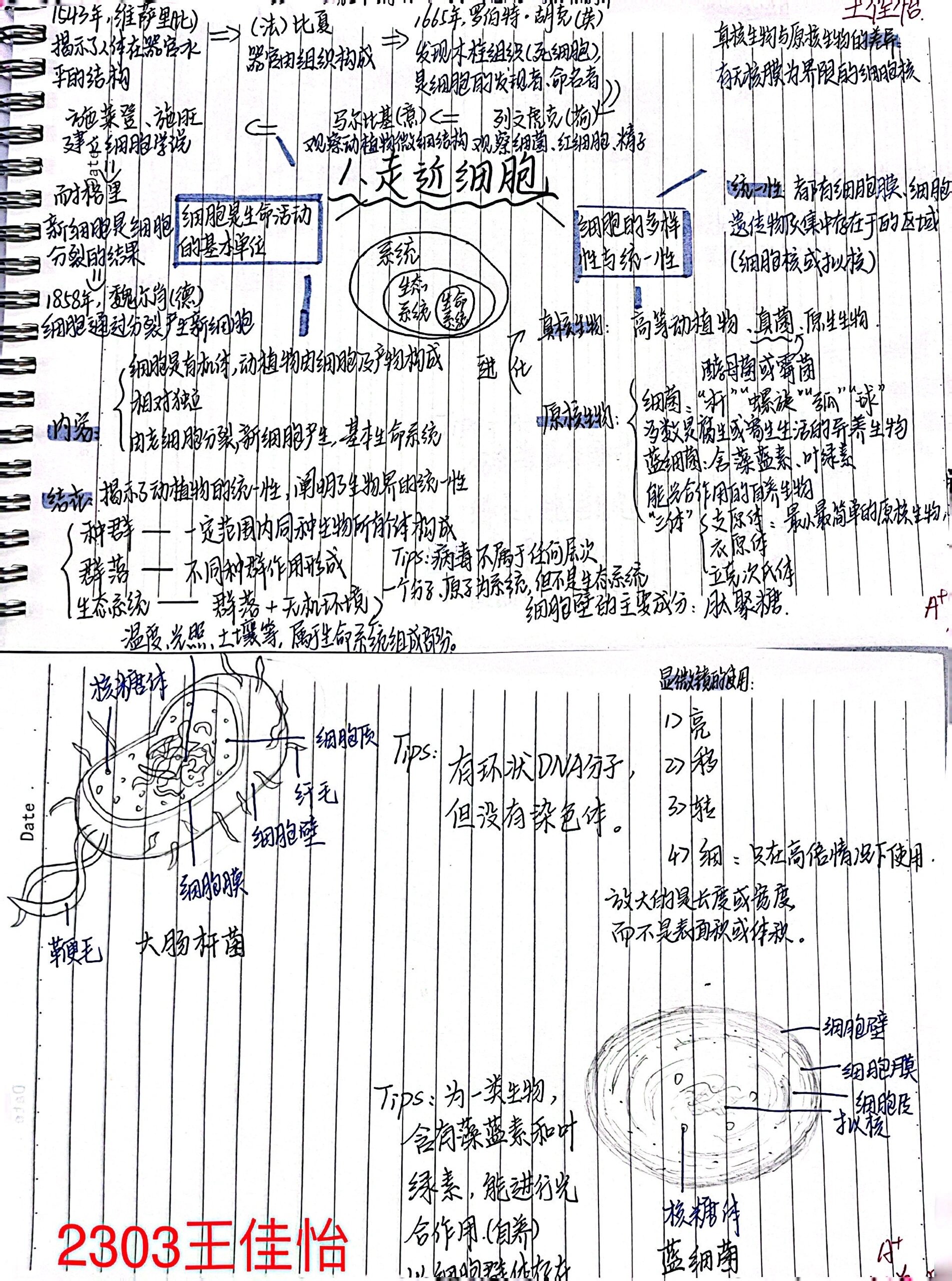 高中生物必修一第一章思维导图分享一