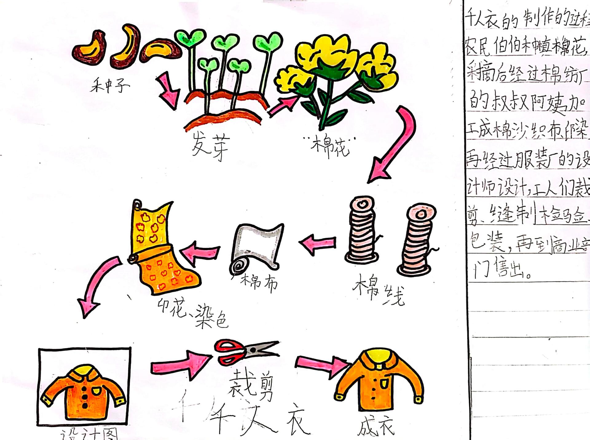 二年级下册语文:千人衣手抄报