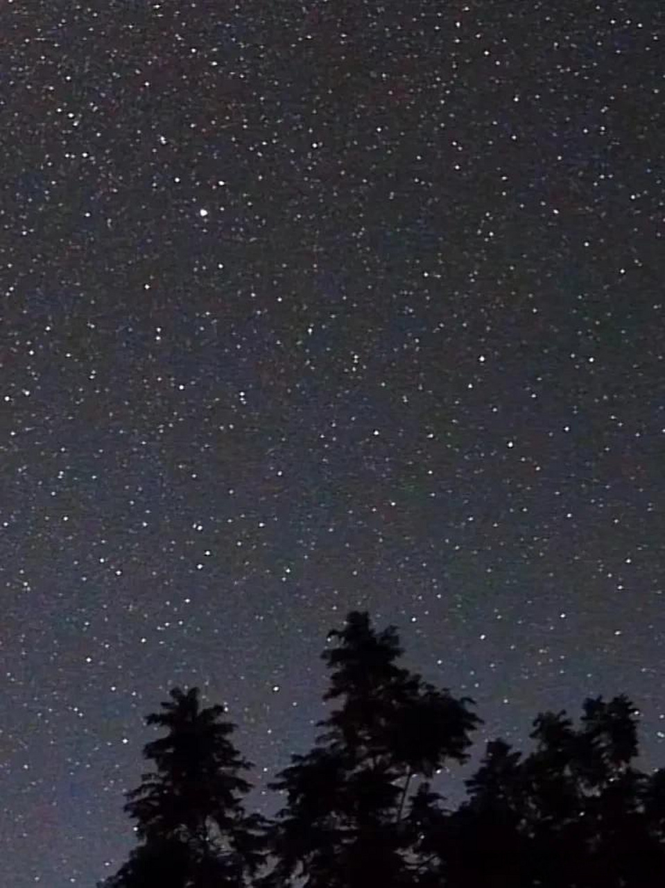 星星点点的美丽  夜晚 的天空 繁星点点 对未来的 憧憬 美好 许下