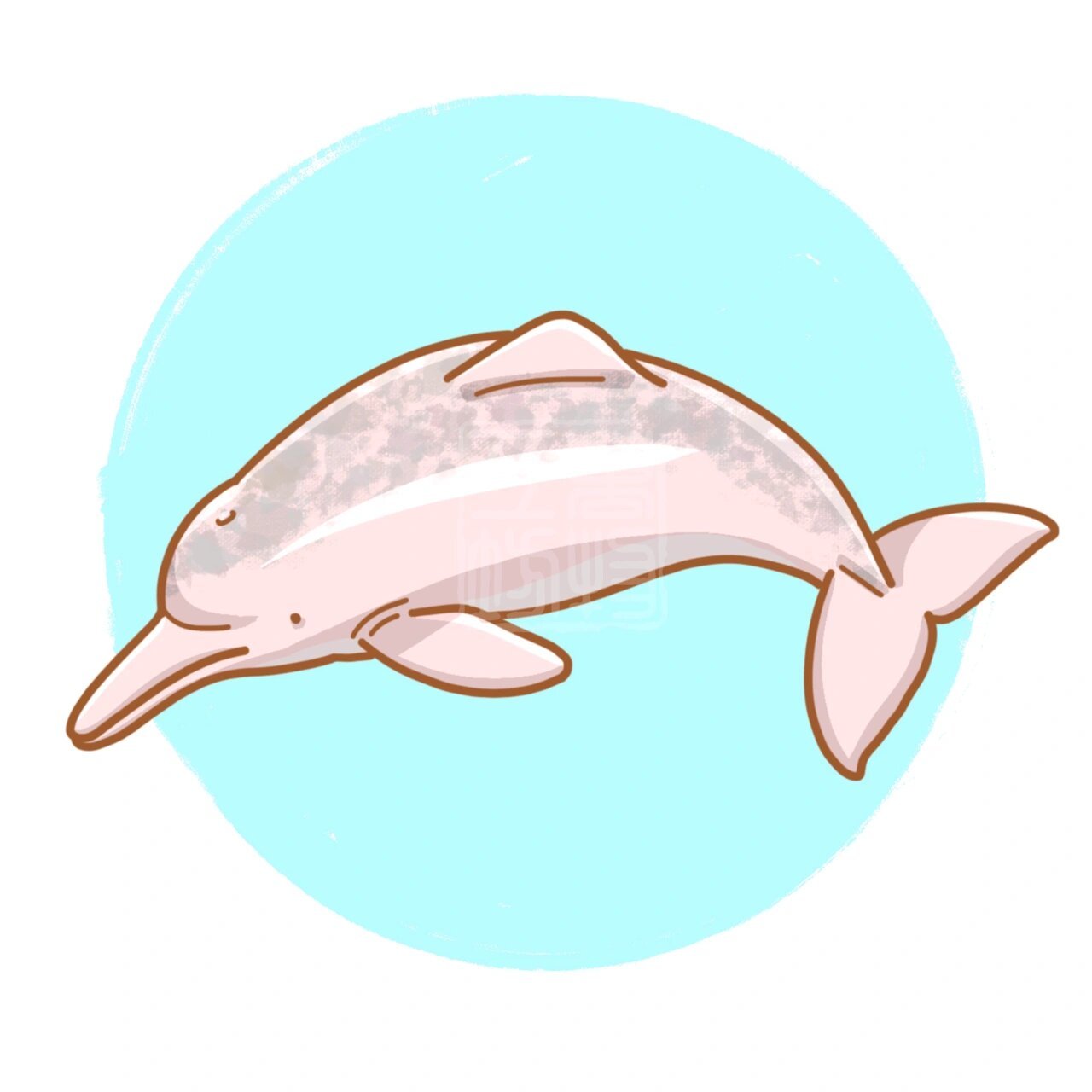 白鳍豚插画图片