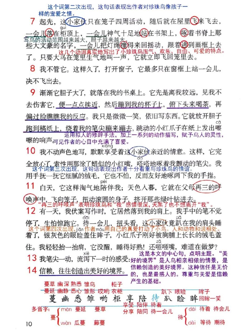 暑期预习五上第四课《珍珠鸟》课堂笔记 #暑期预习# #小学语文怎么学