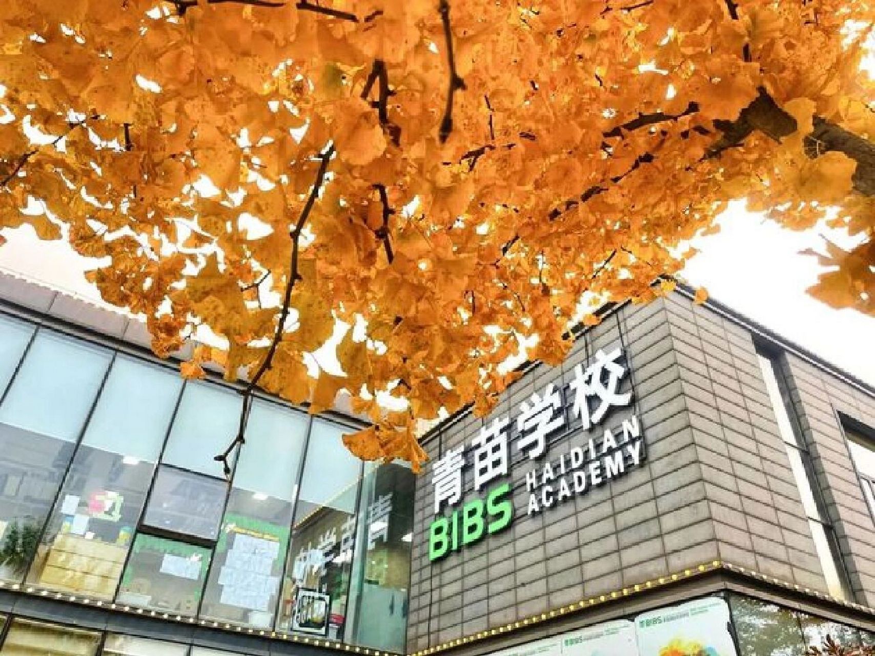 海淀青苗,一所有底气的国际学校 海淀四季青校区创建于2019年,是一所