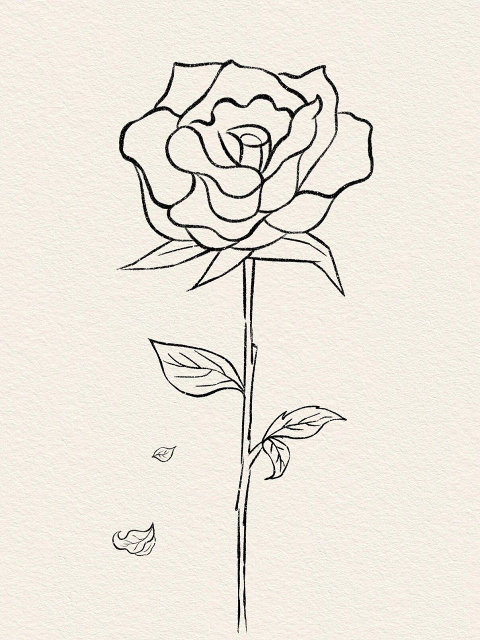 小白如何"画玫瑰"95保姆级教程一学就会