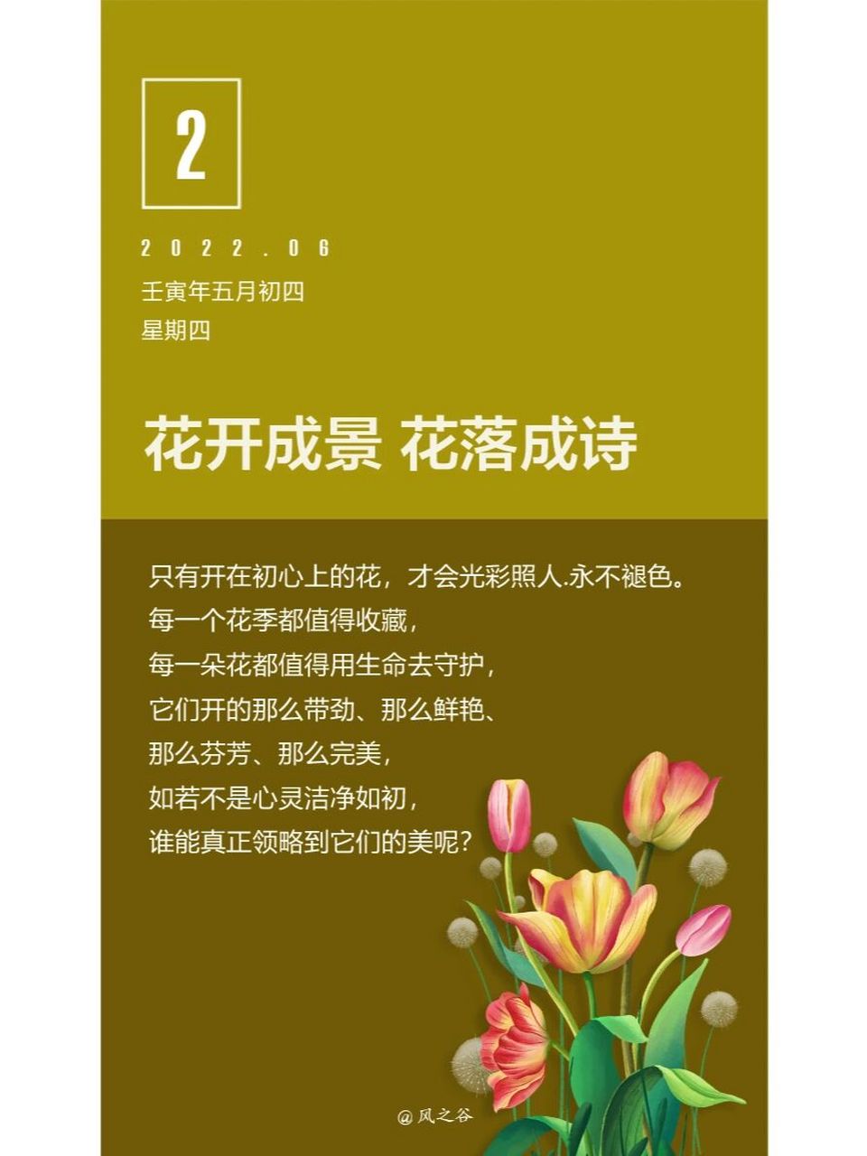 每一个花季都值得收藏,每一朵花都值得用生命去守护