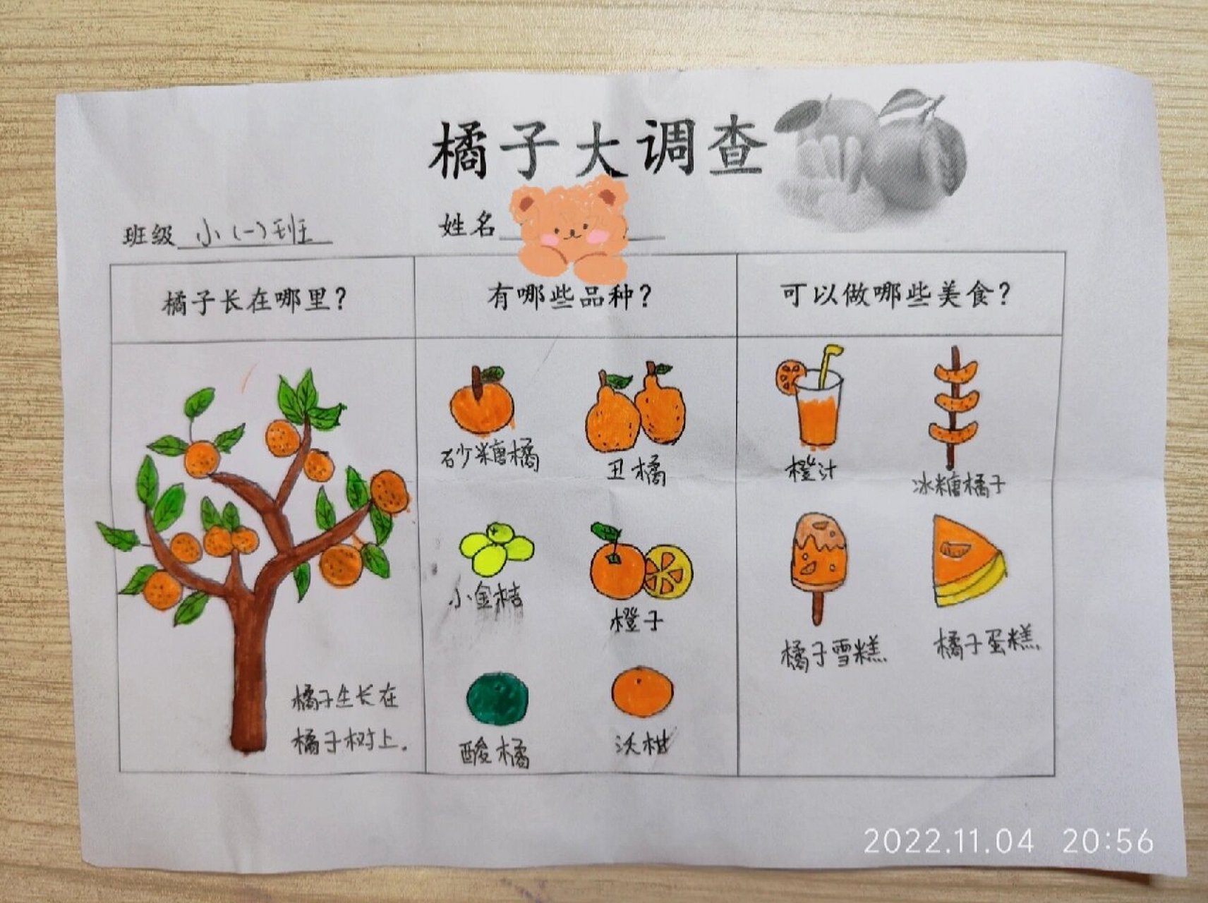 幼儿园小班水果调查表图片