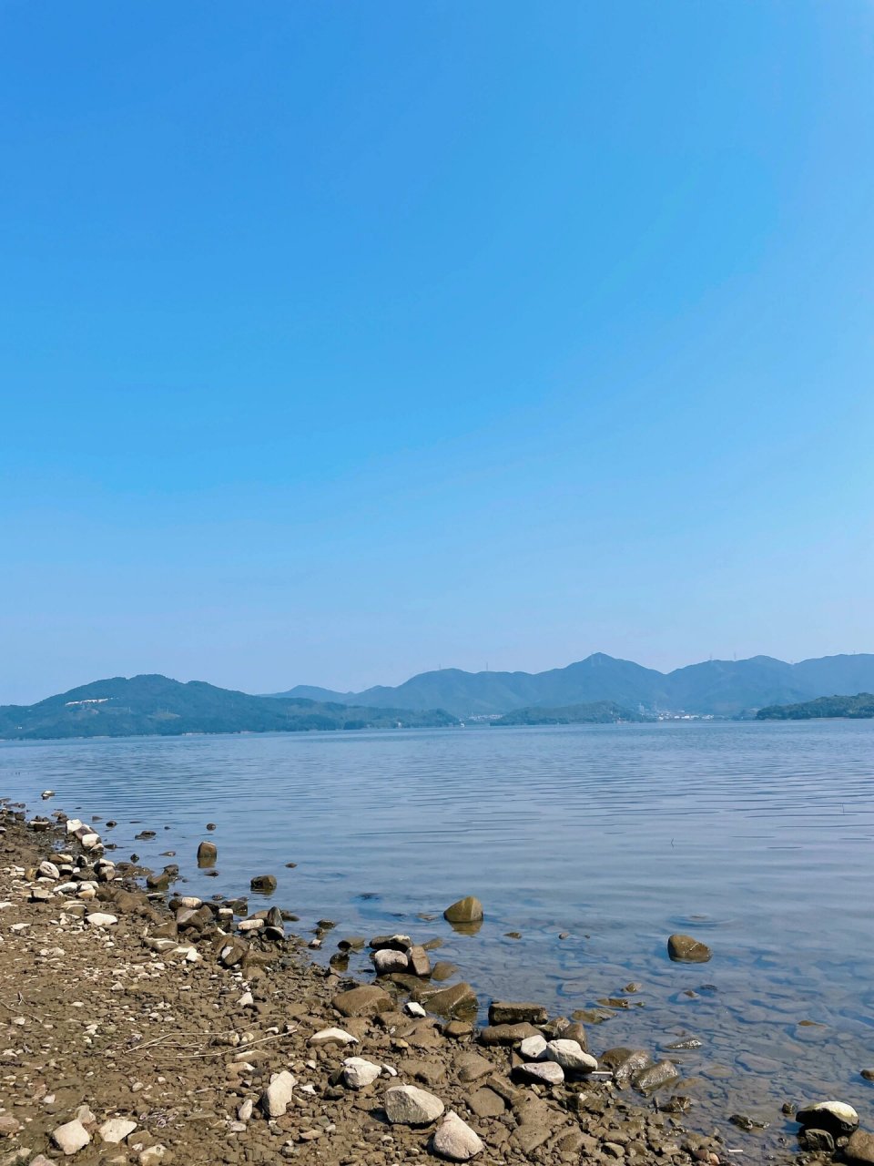 99四明山 一日自驾游:四明山水杉湖湿地—杉野茶咖—白水冲瀑布