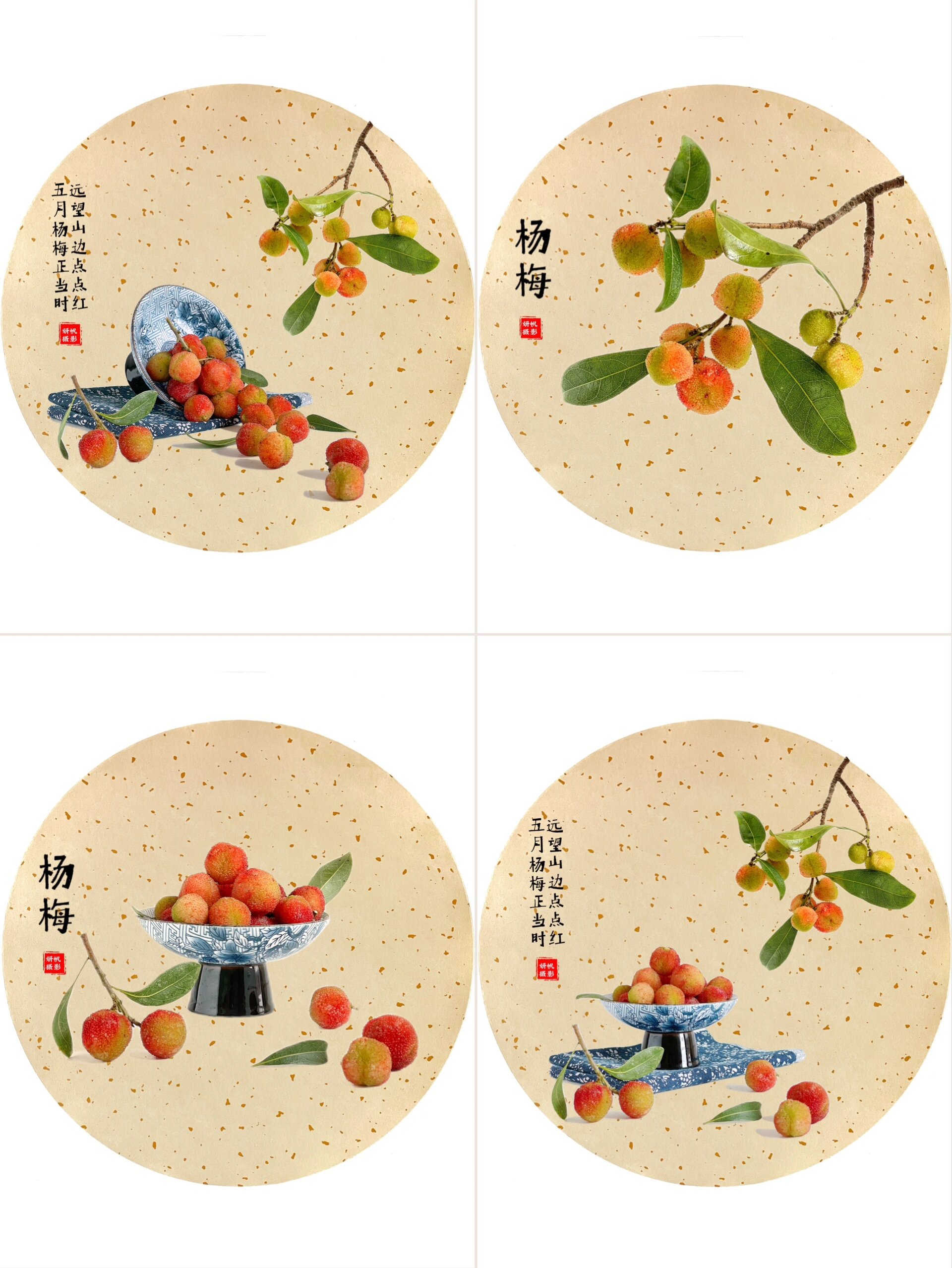 绘画素材:杨梅 国画风