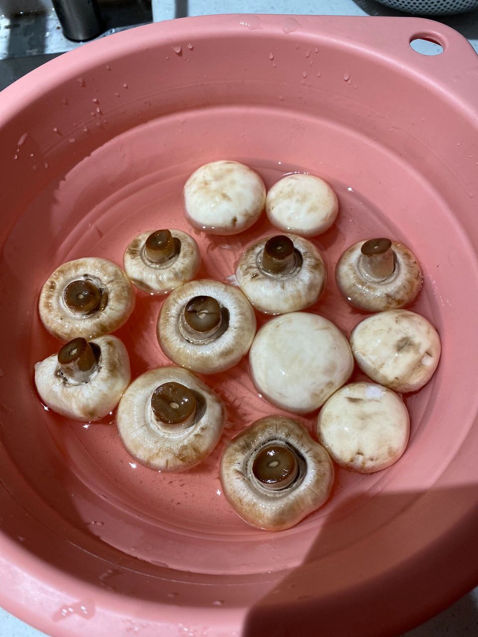 这个白蘑菇是坏了吗 山姆11.30线上购买的,今天打开吃.留是这样子?