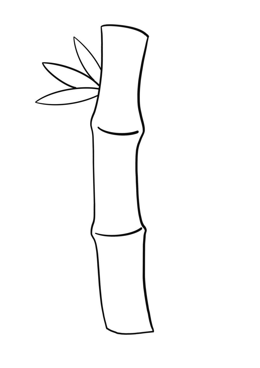 简笔画教程分享 竹子