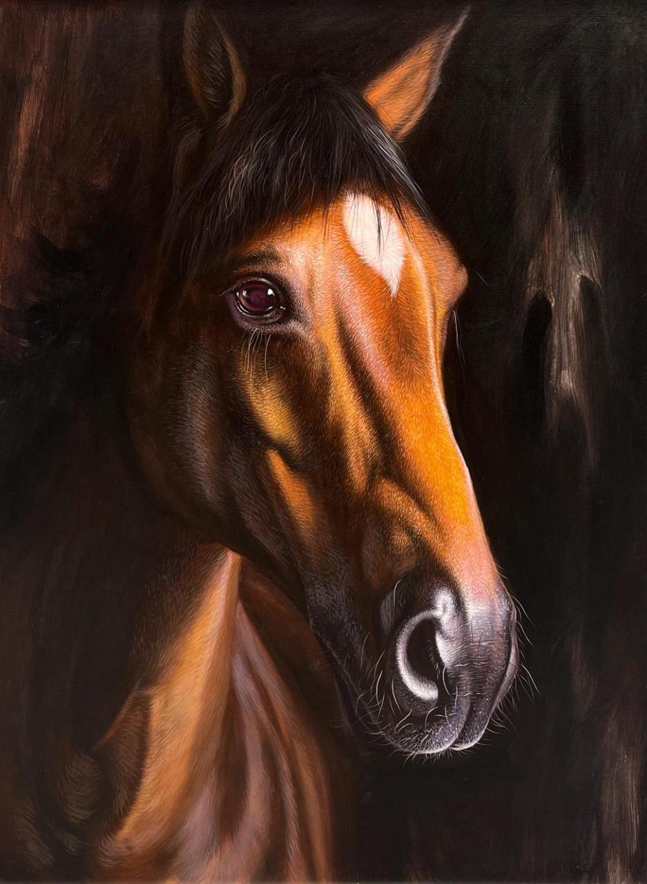 这些年画过的骏马系列油画作品.