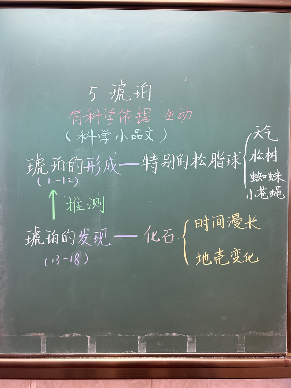 《琥珀》备课与板书 熬过了开学初 又迎来了公开课