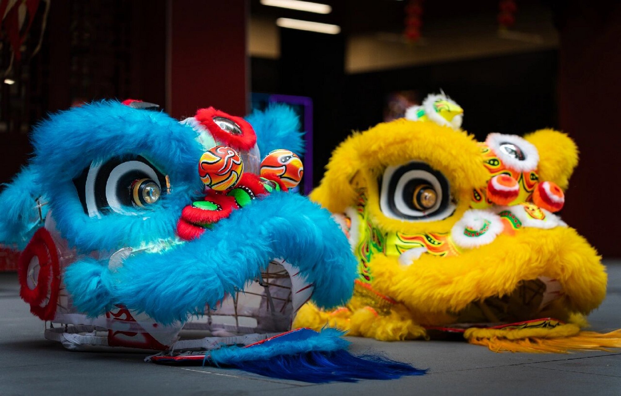 南派狮子舞又以广东最有代表性.