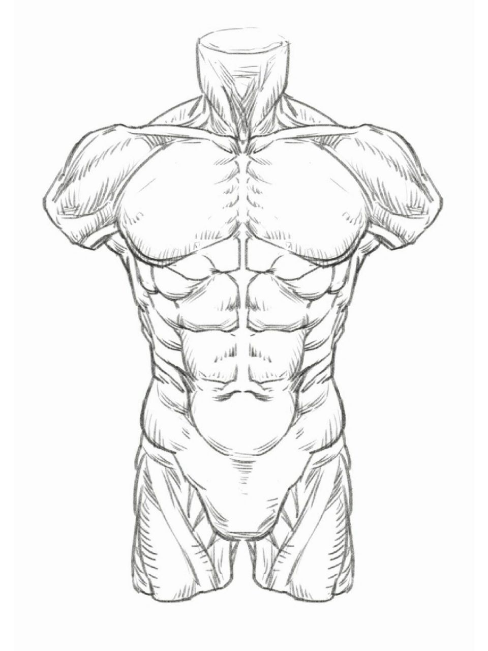 人体结构练习11/100