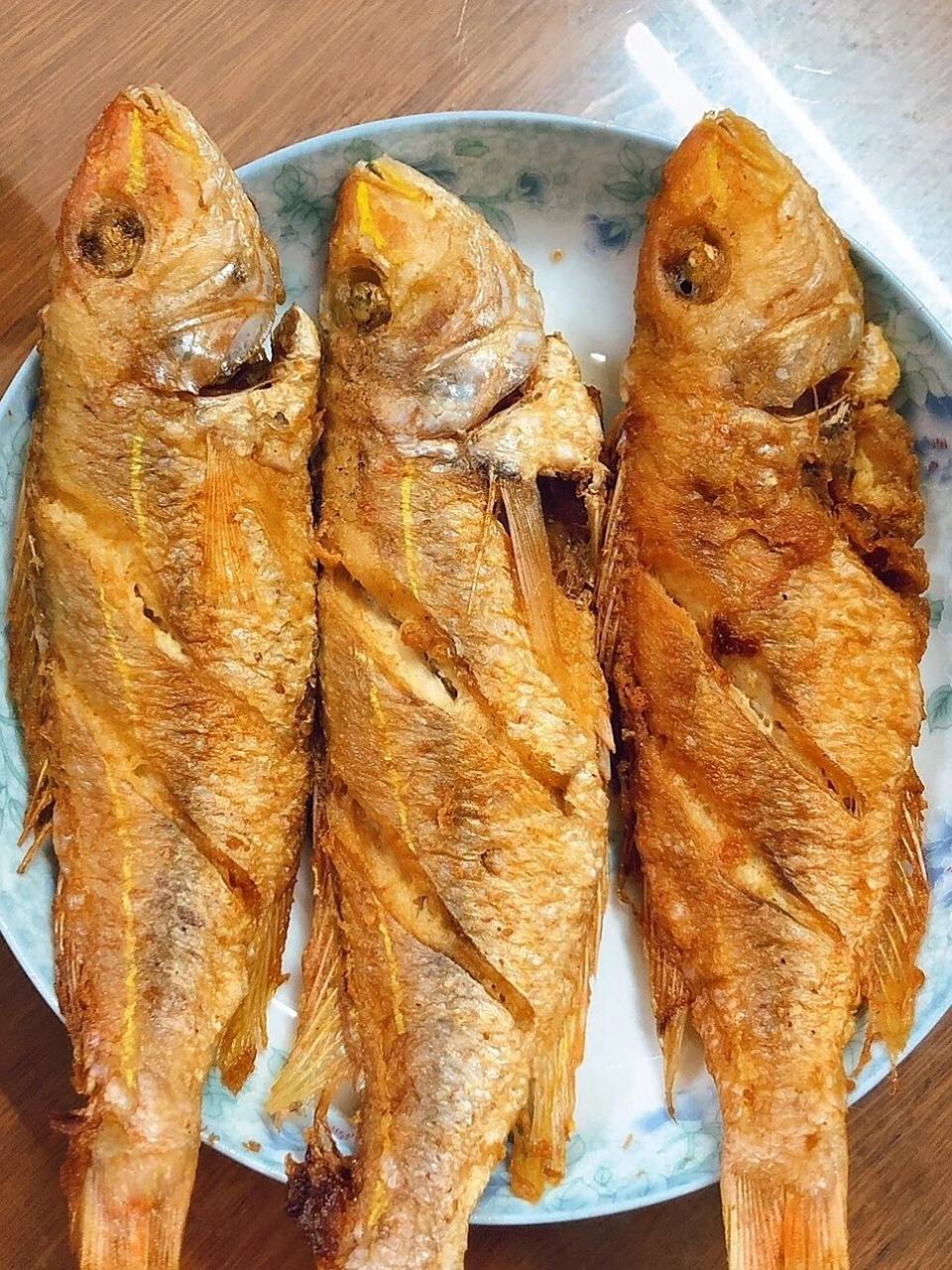 金线鱼又名金丝鱼,吊鲤,红哥鲤等,我们家的高品质金线鱼颜色鲜艳颜值