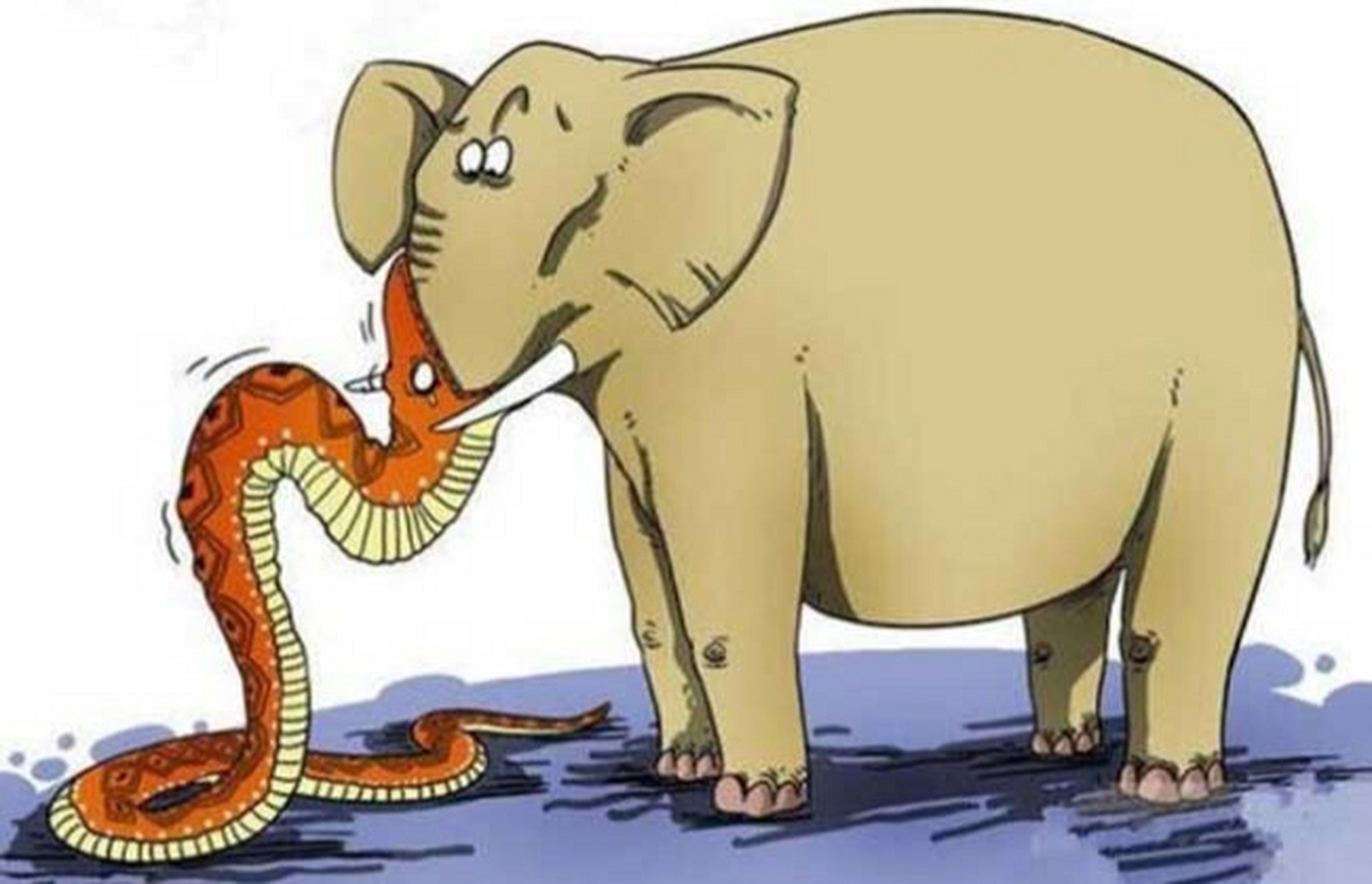 人心不足蛇吞象