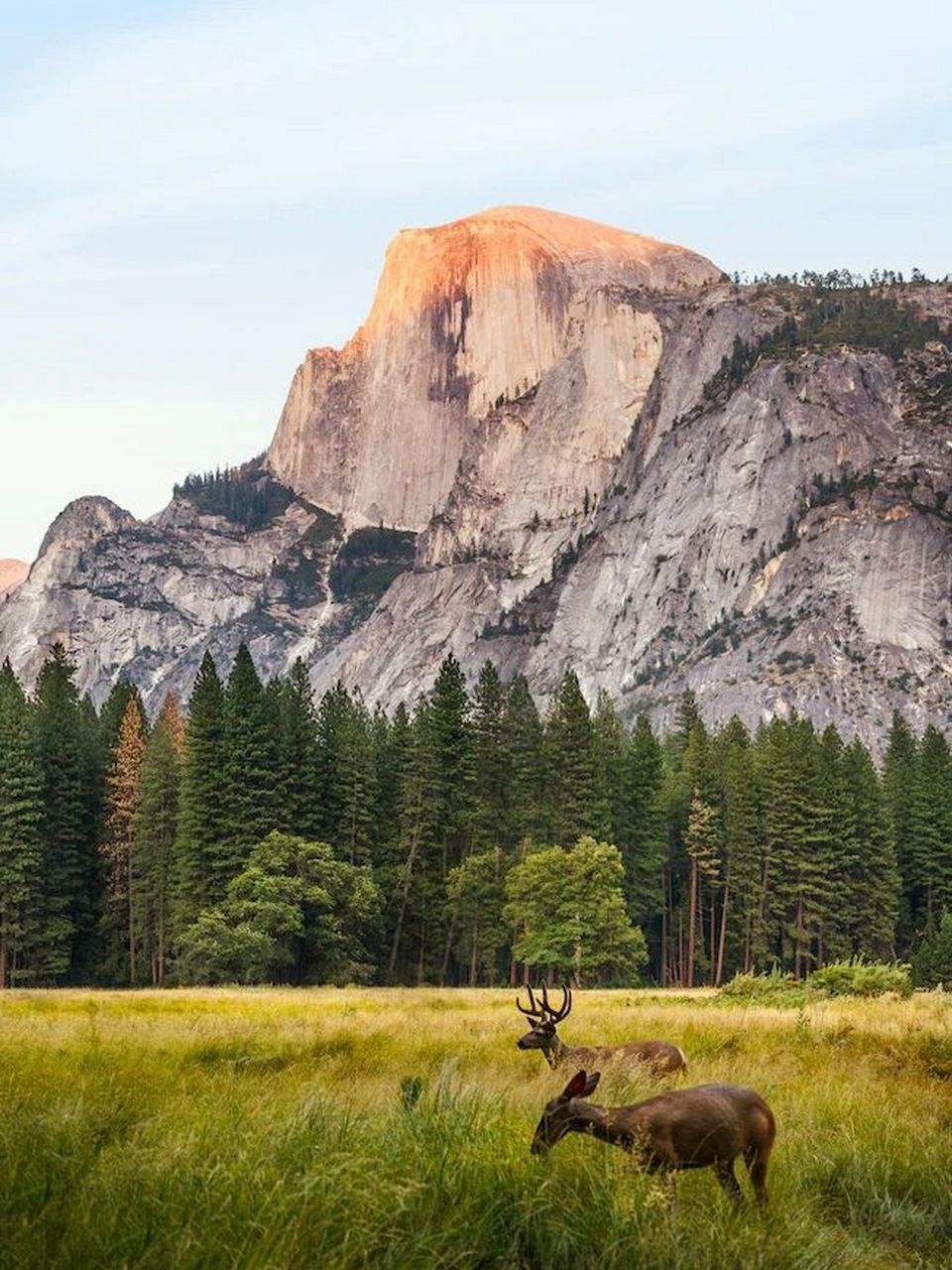 优胜美地公园|美国最令人惊叹的自然保护区 优胜美地国家公园位于美国