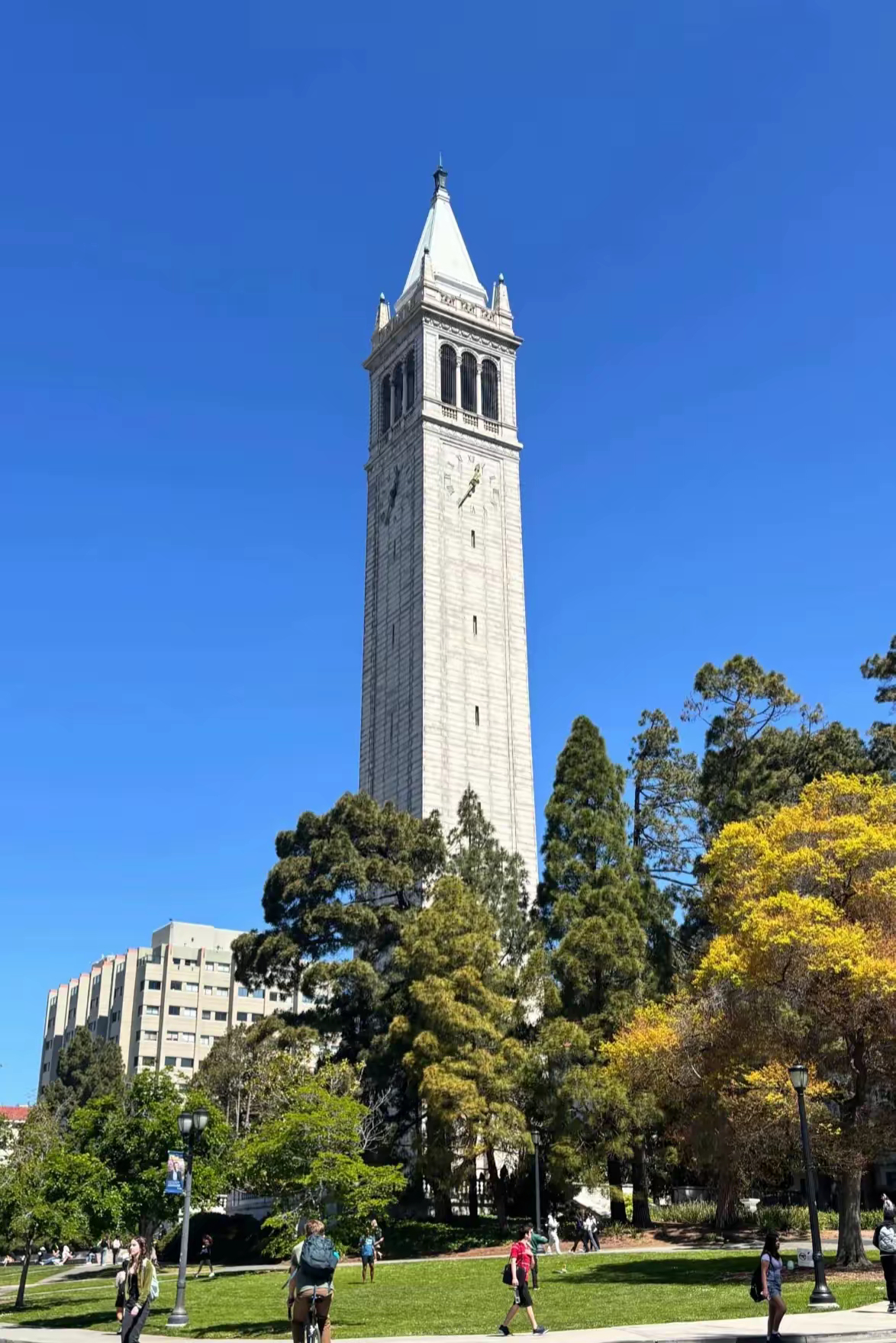 很多人以为加州大学伯克利分校是一所很一般的大学毕竟是个分校