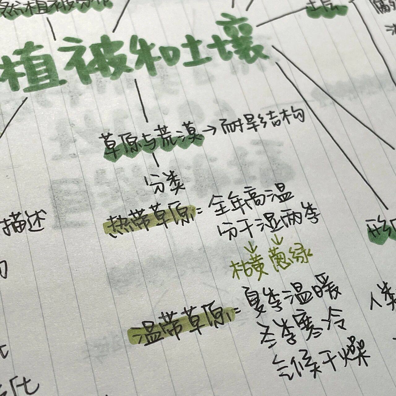 高中自然地理#植被和土壤 思维导图/结构 自己整理的～ 人教版必修一