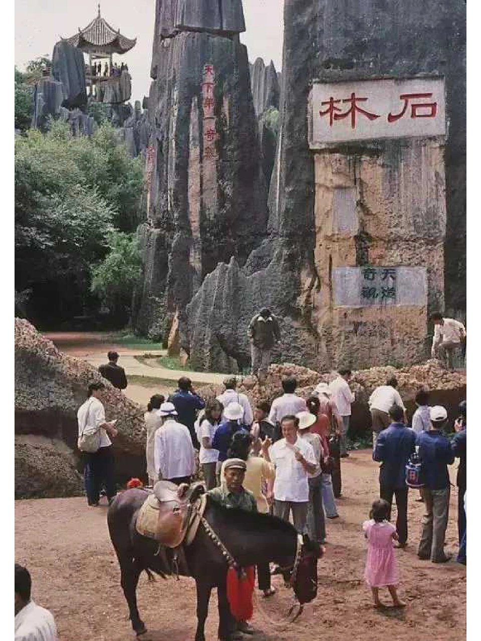 1983年云南石林老照片