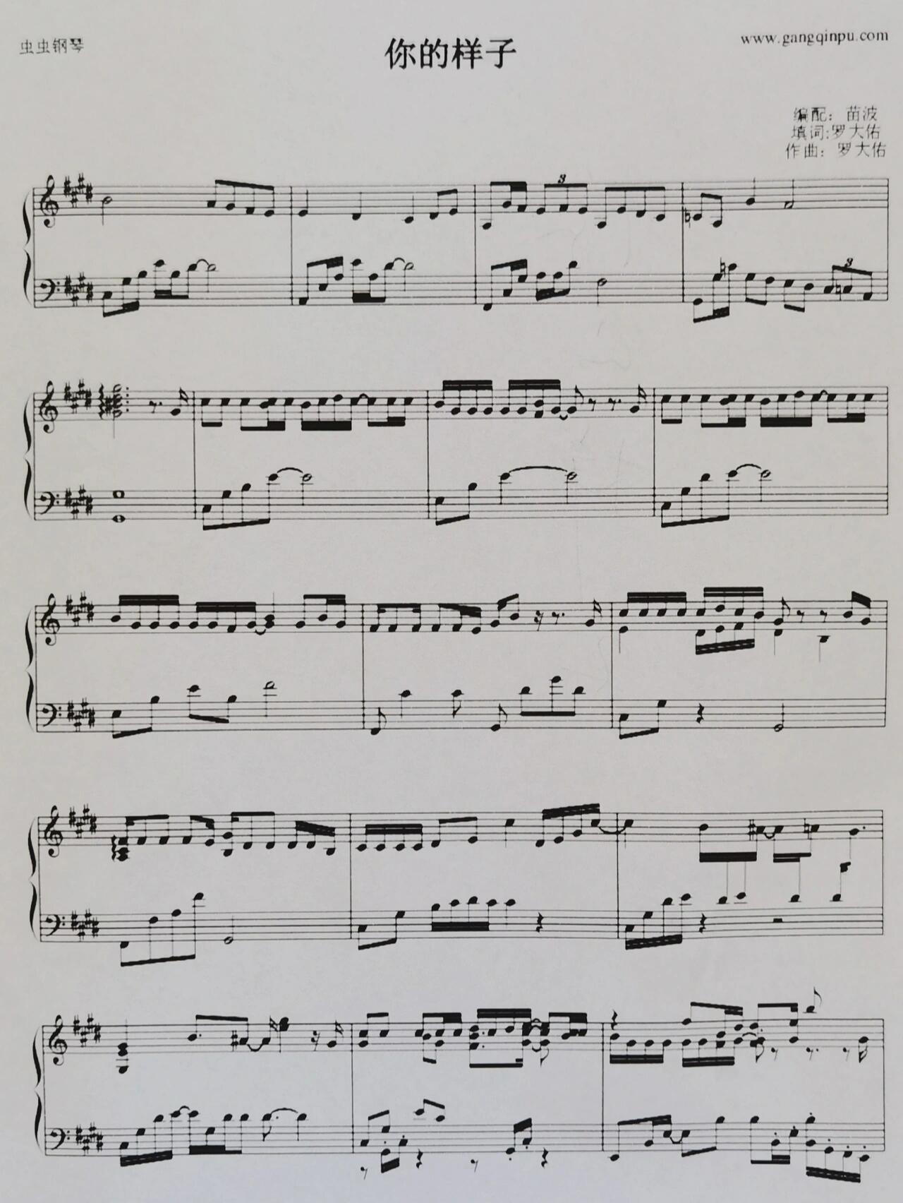 钢琴谱-罗大佑《你的样子》