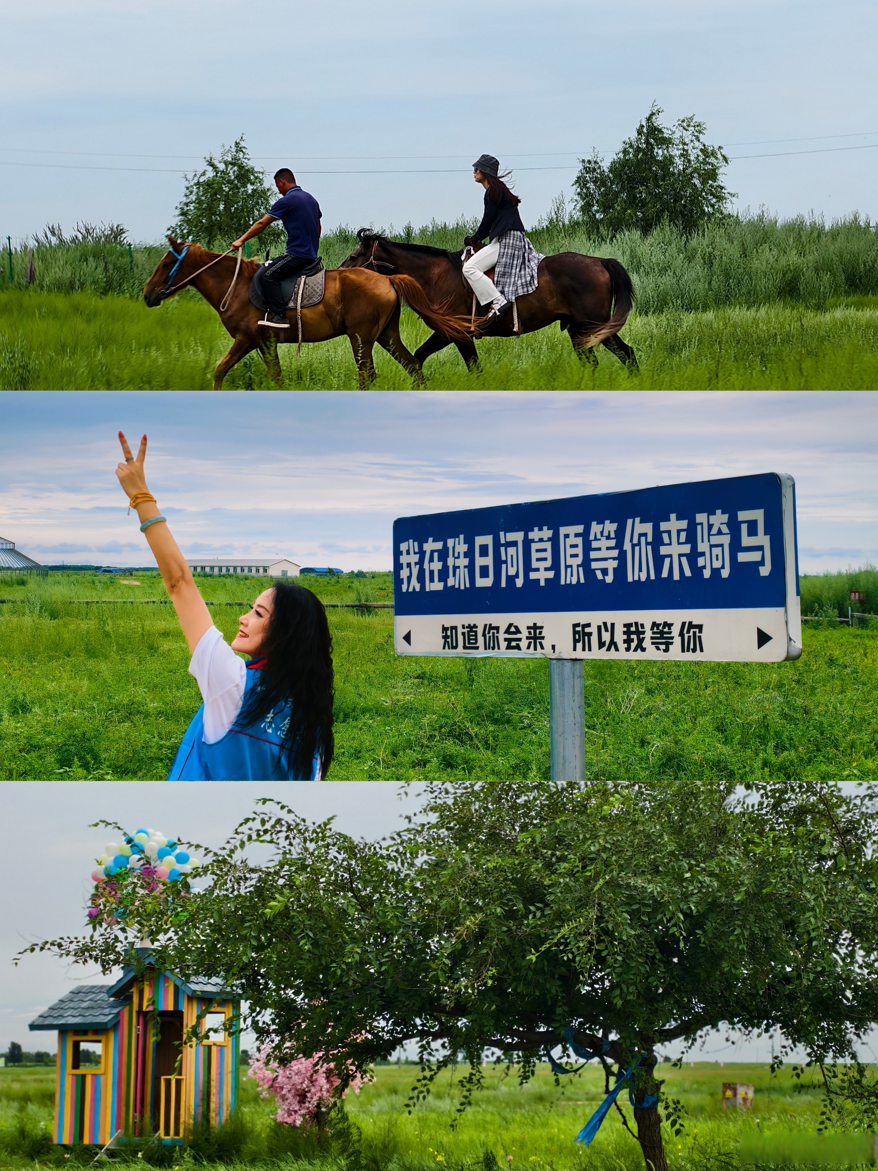 晨光里的珠日河景区,草浪正翻涌着夏的热烈