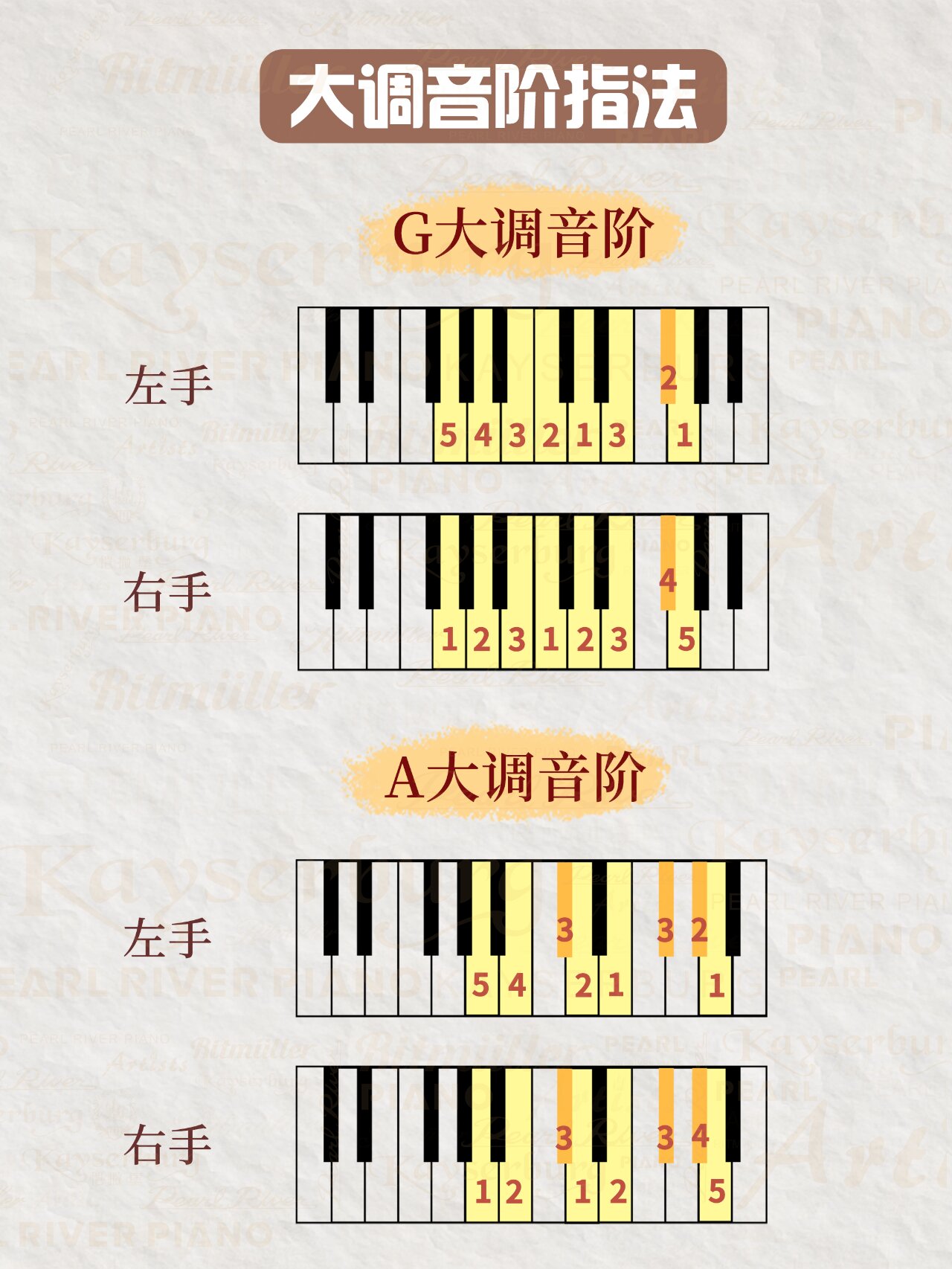 钢琴十二个调的示意图图片