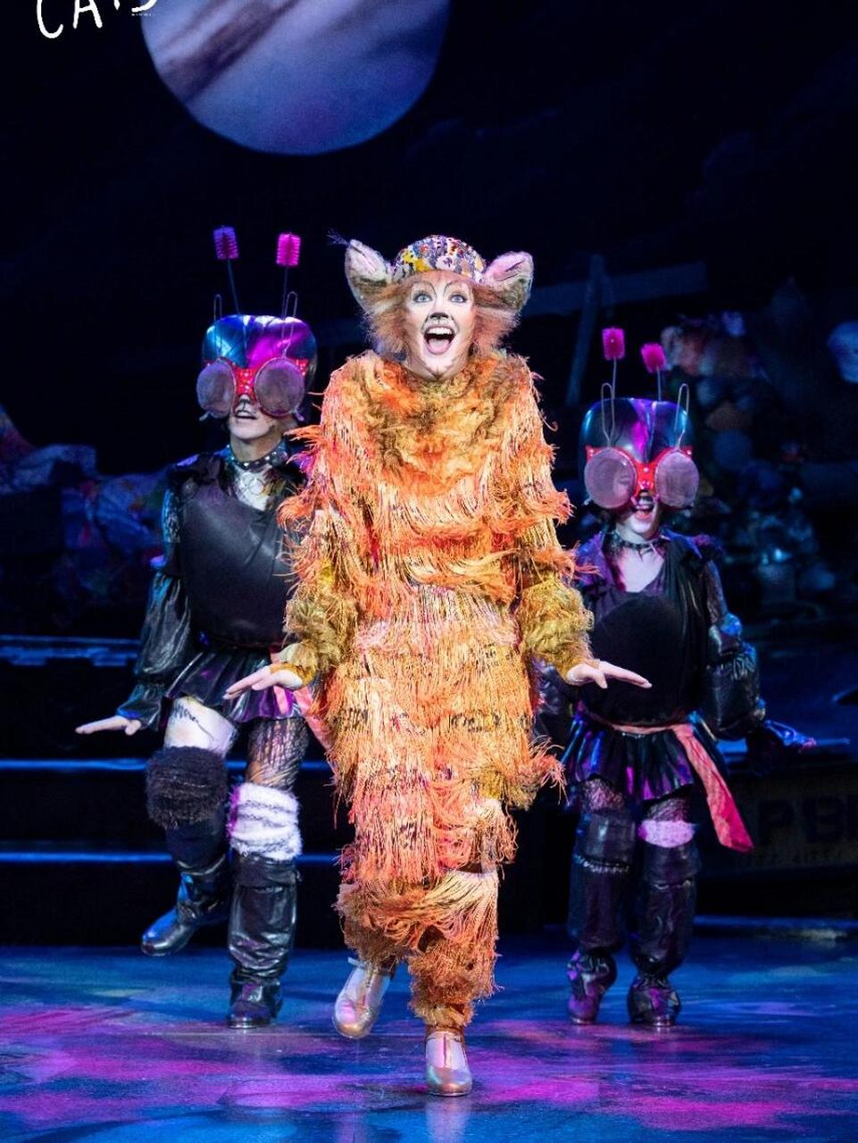 最近想带全家一起看的音乐剧——《猫》!