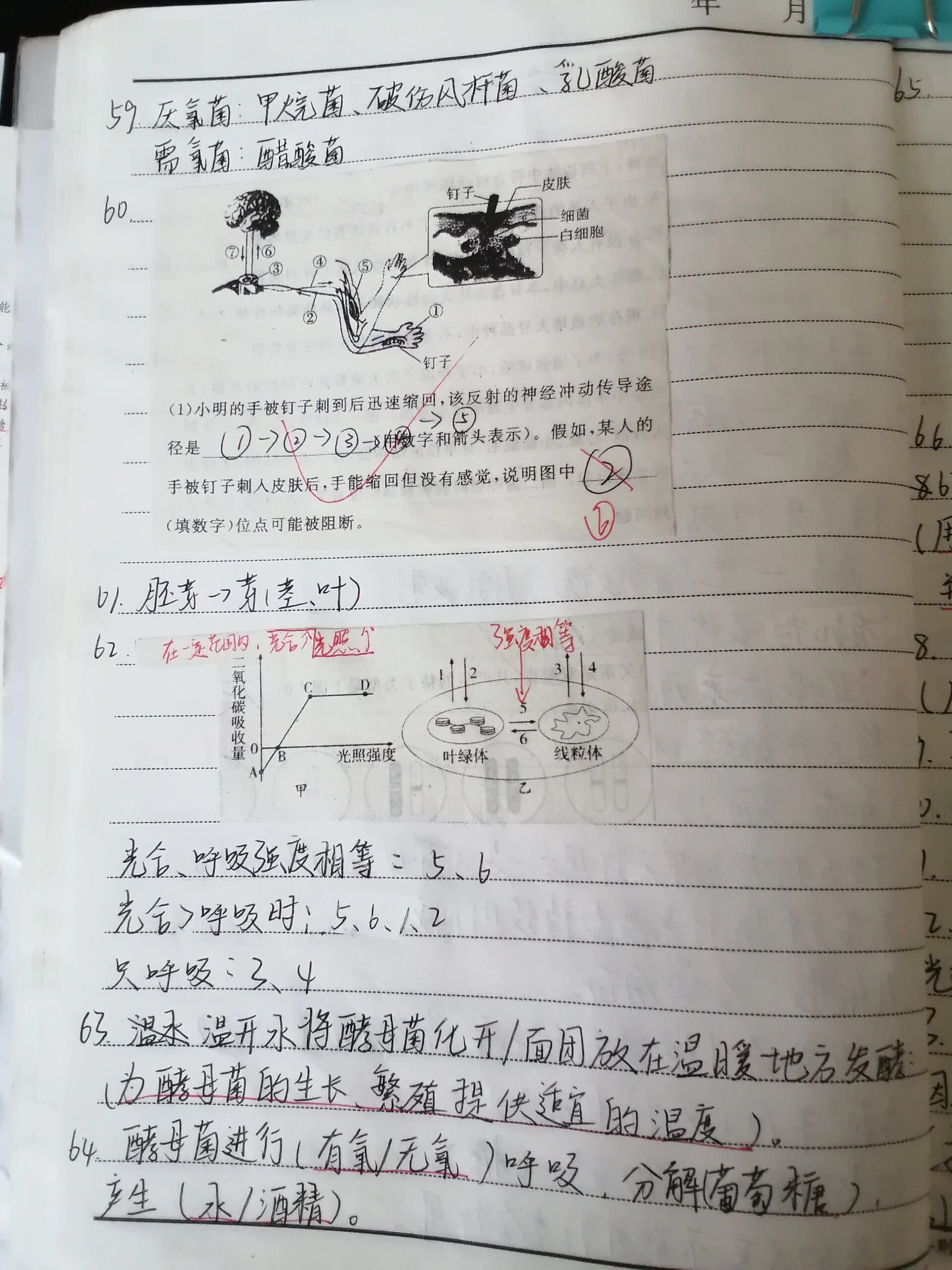 生物优秀错题本图片图片