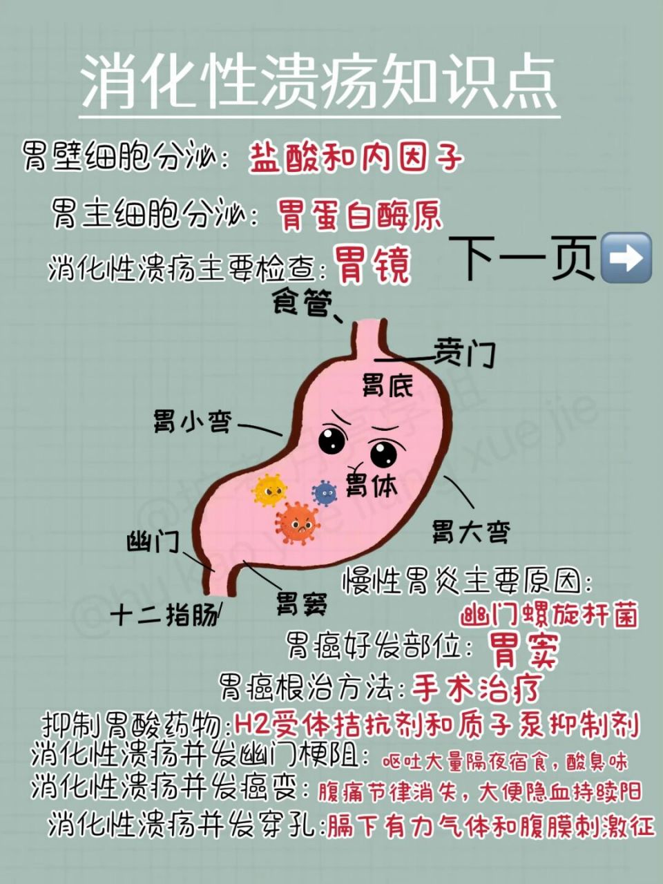 胃溃疡原因图片