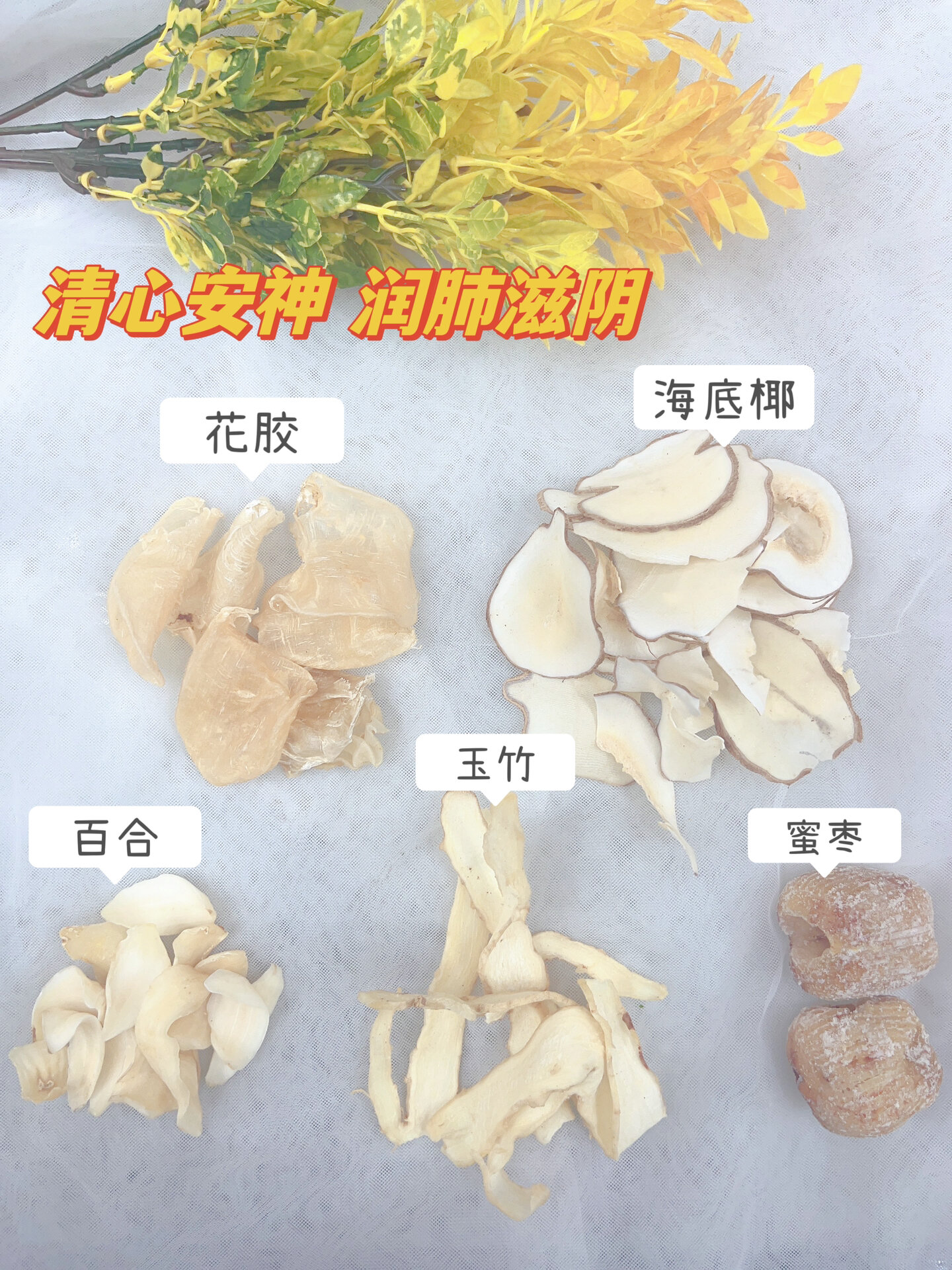 孕期营养汤 花胶海底椰百合汤