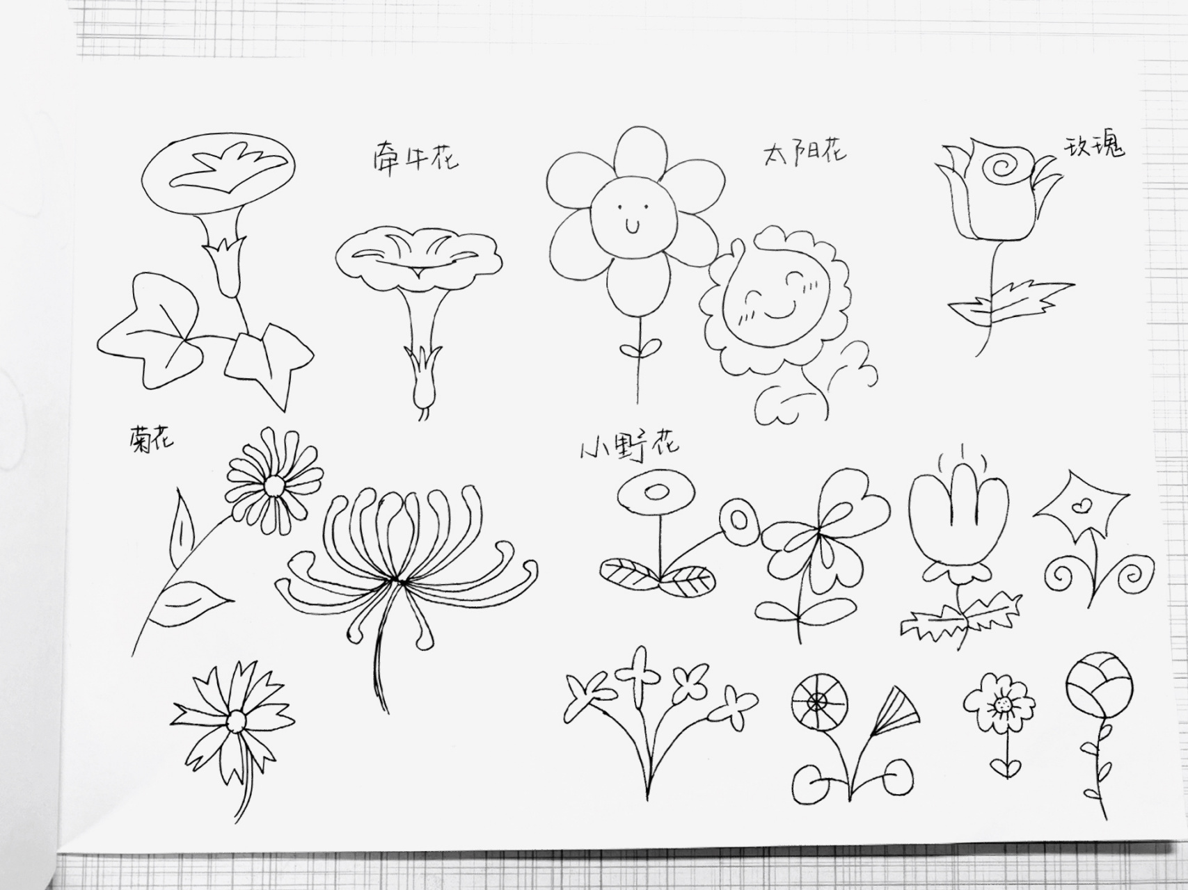 一排花朵简笔画图片