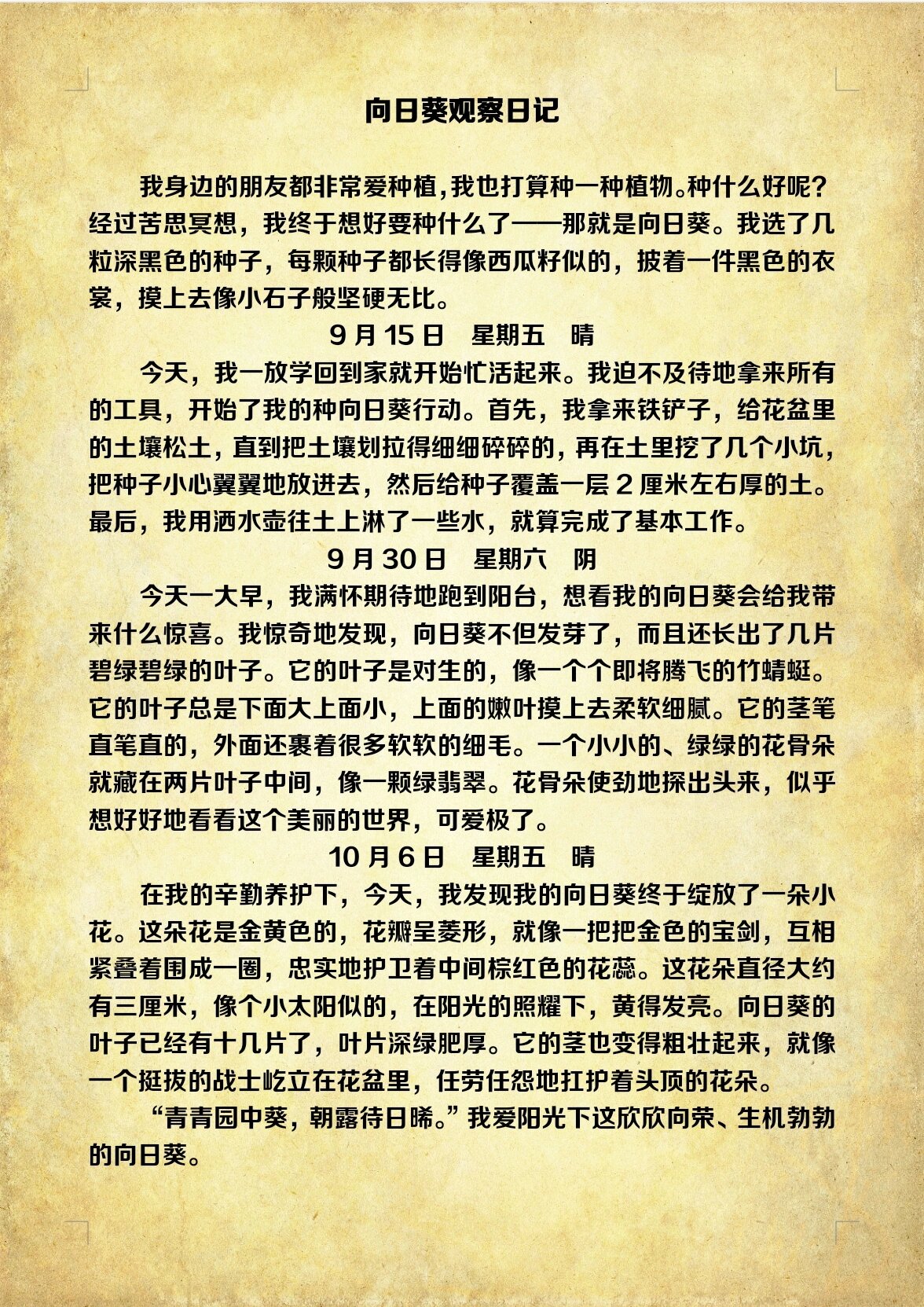 向日葵观察日记@心有大海和天空的动态