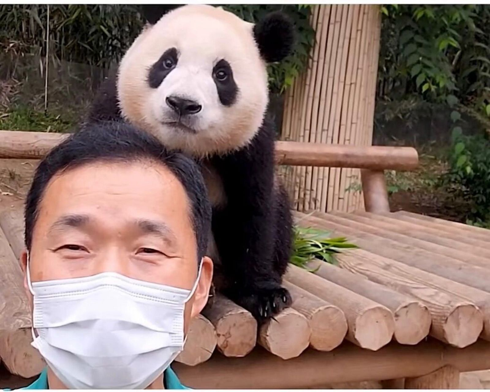 福宝和姜宝天下第一好7815珍贵照片第36615弹 宝家族一起快乐