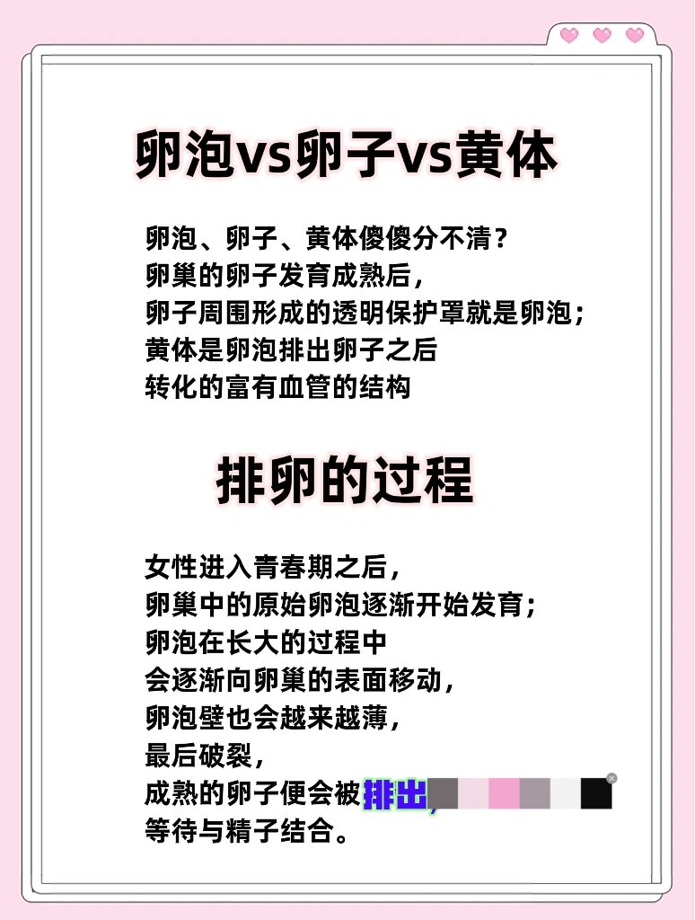 卵泡长到多大会排?卵子多久排出?