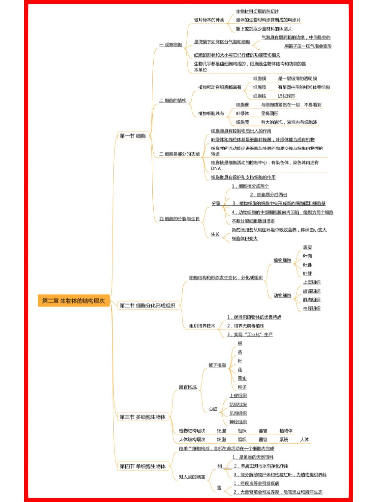 生物思维导图七上全书图片