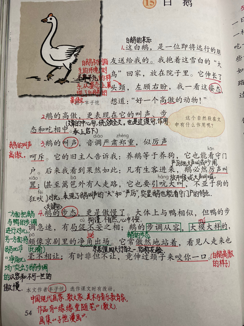 四下:《白鹅》详细笔记 四下:《白鹅》详细笔记       看不清的地方