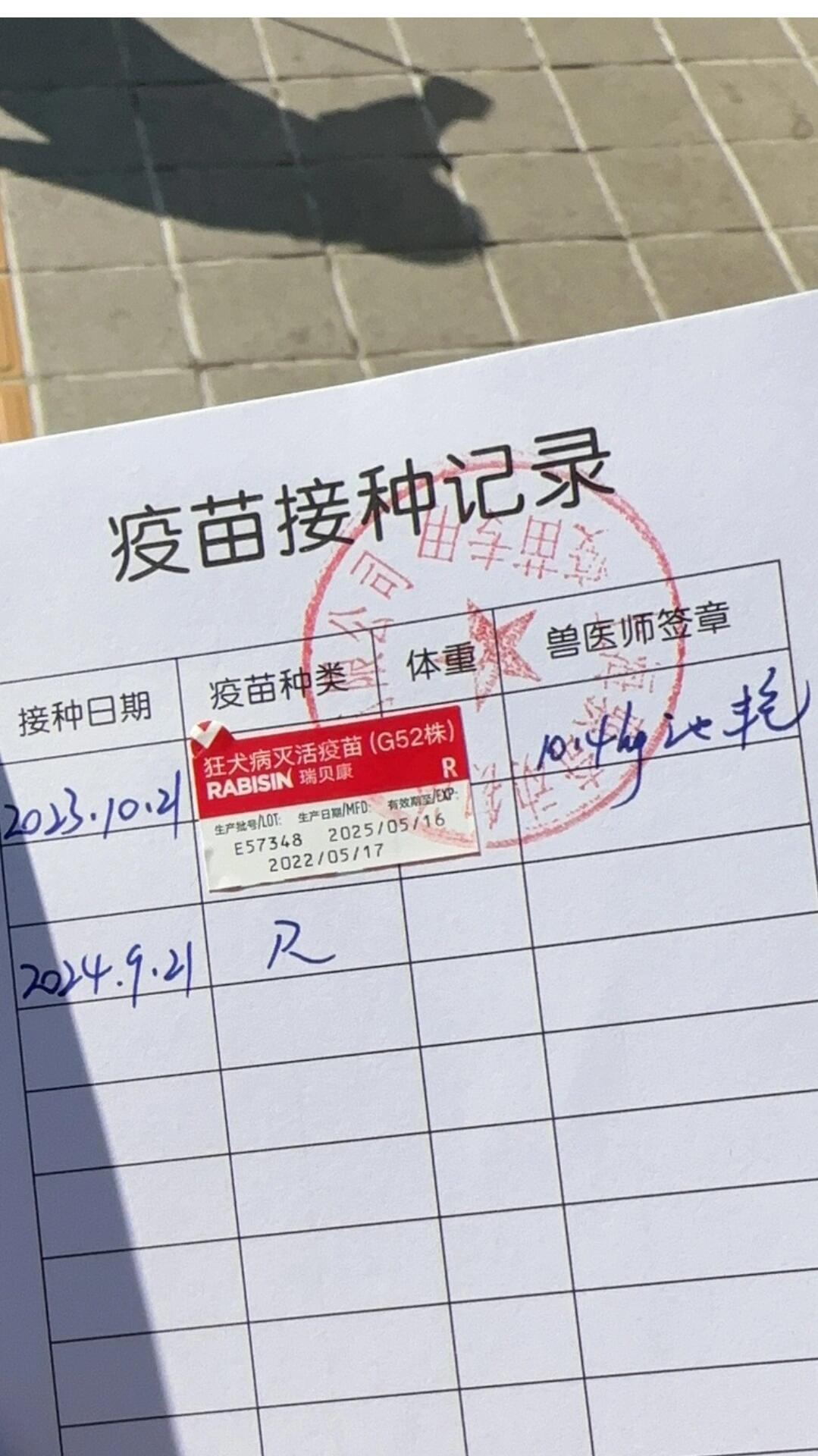 农村犬办证记
