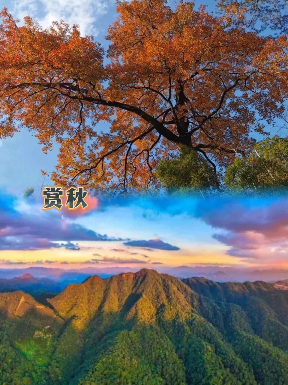 泉州牛姆林|树屋|赏秋|氧心之旅 99住进永春"闽南西双版纳"牛姆林