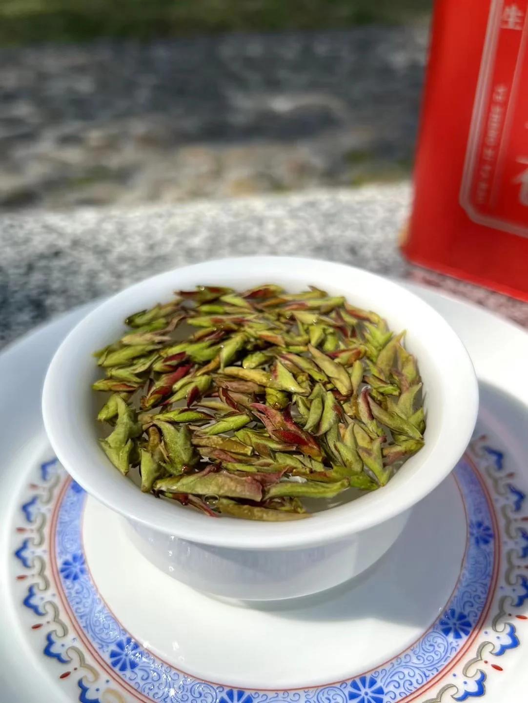 千年野生紫芽苞 紫芽孢茶只采顶芽,仅限早春.