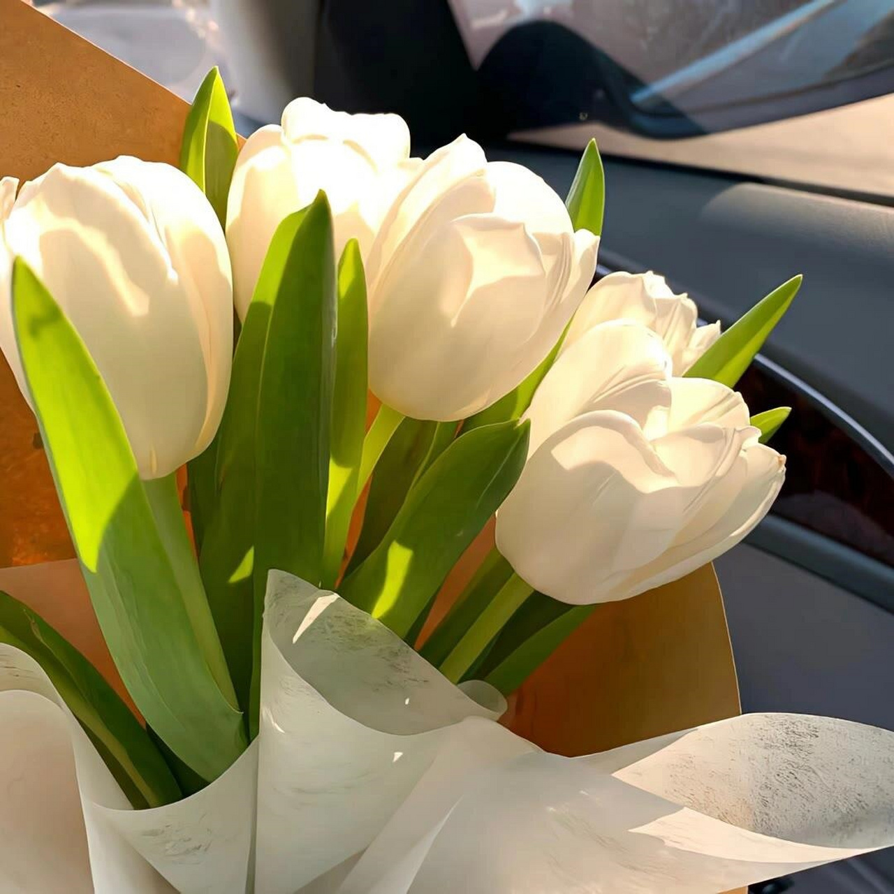 微信朋友圈背景 宝子们👋,今天给大家分享一些超好看的微信朋友圈