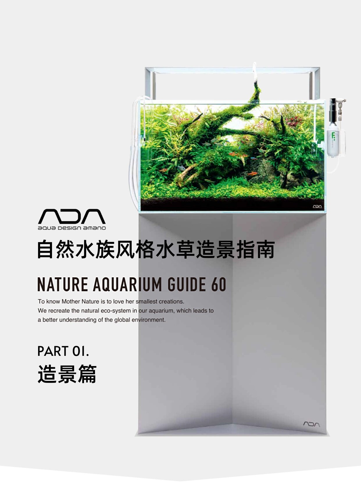 开缸造景|ada60缸自然水族风格造景指南