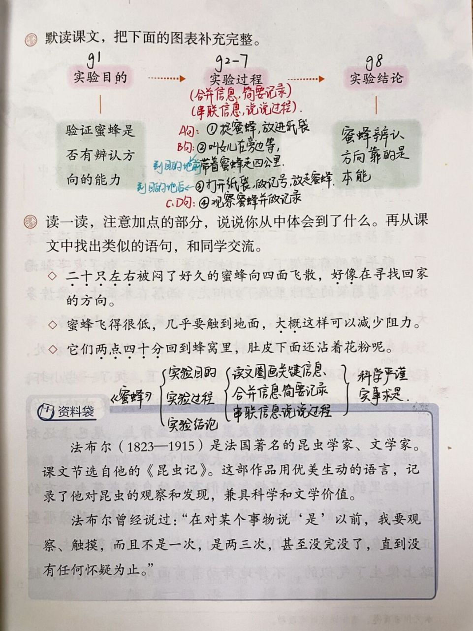 三下语文第14课《蜜蜂》第一课时备课 #三年级语文# #小学语文备课