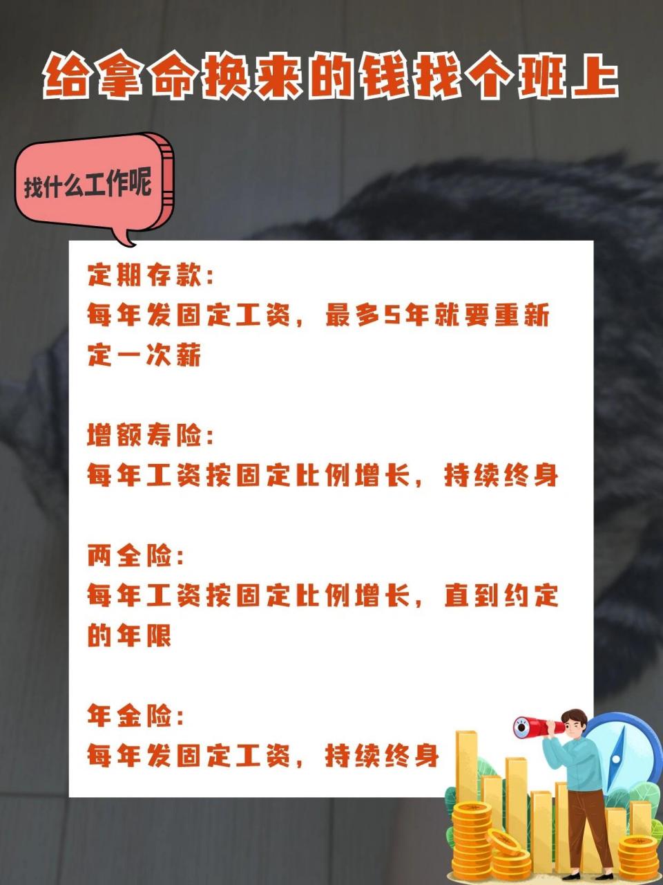 996,007们,赚回来的钱不能就这么让它们摆烂, 也要让它们上班去挣钱