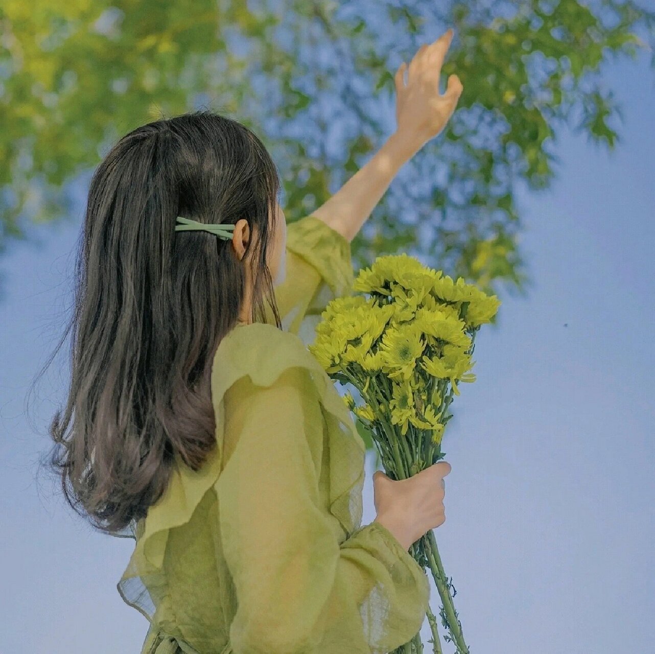清新夏天,夏天头像分享,微信头像分享