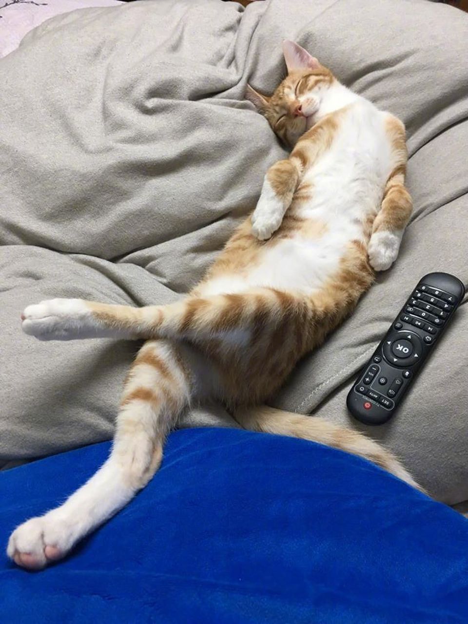 这是有多舒服啊,二郎腿都翘着.