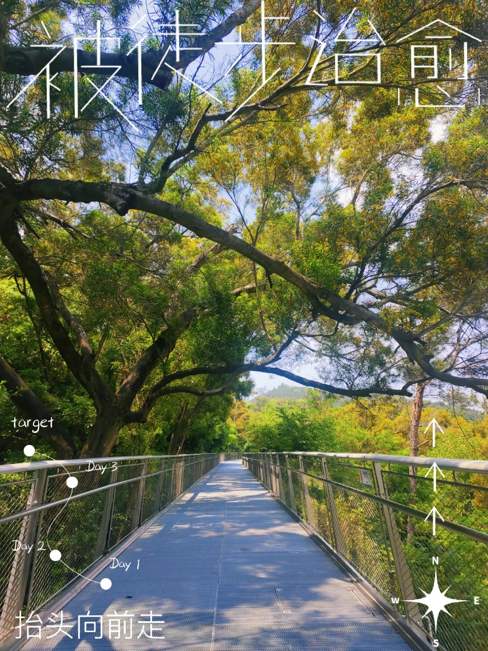 仙岳山健康步道图片