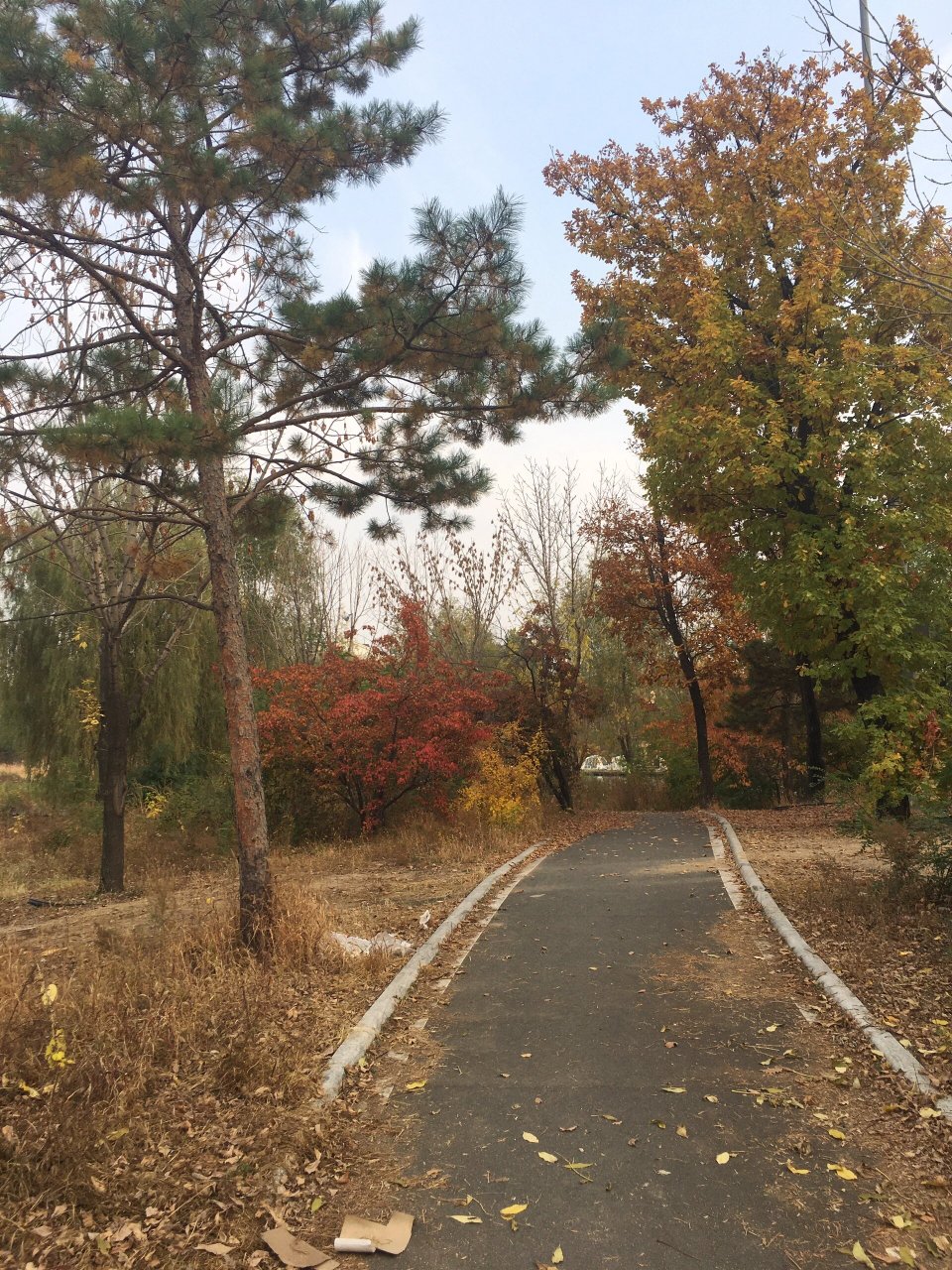 长春市区露营胜地———翠泉源 南三环和卫星路之间的翠泉源,帐篷林立