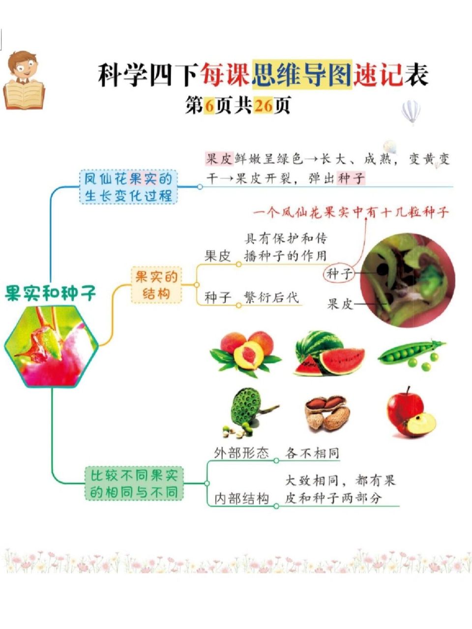 果实形成的思维导图图片