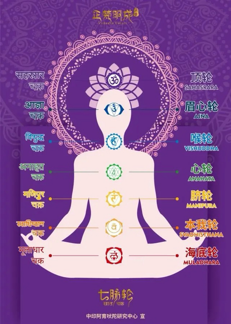 脉轮一词出自古印度中的梵文,英文chakra,直译的意思
