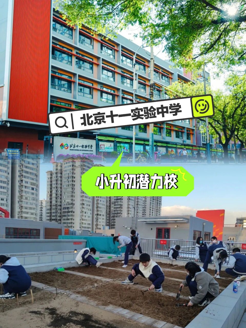 北京十一实验中学小升初海淀区优质潜力学校                北京十一